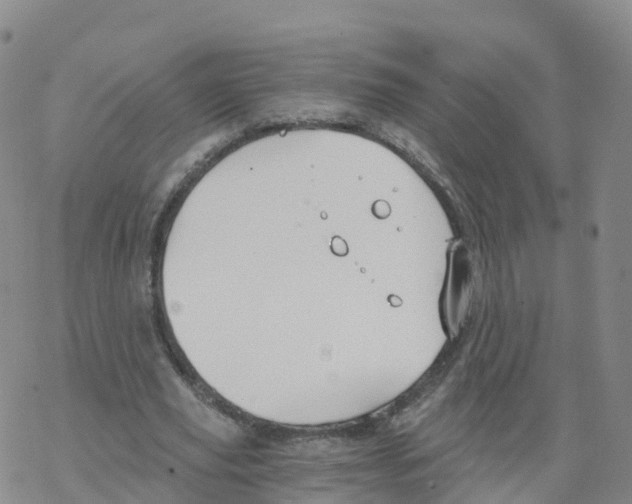 X0000068730629200605262026