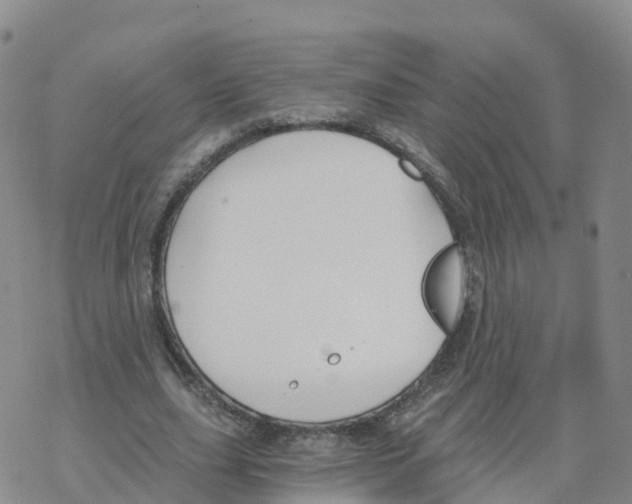 X0000068730631200605262026