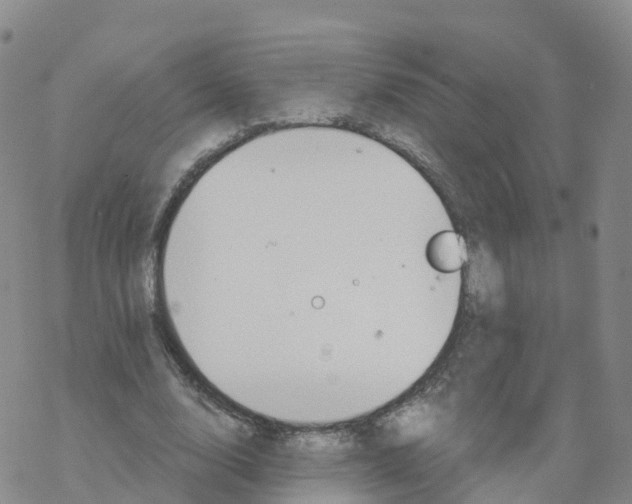 X0000068730632200605262026