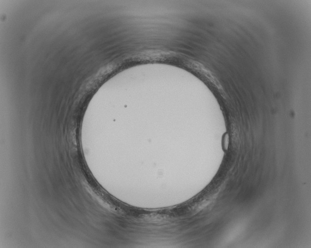 X0000068730633200605262026