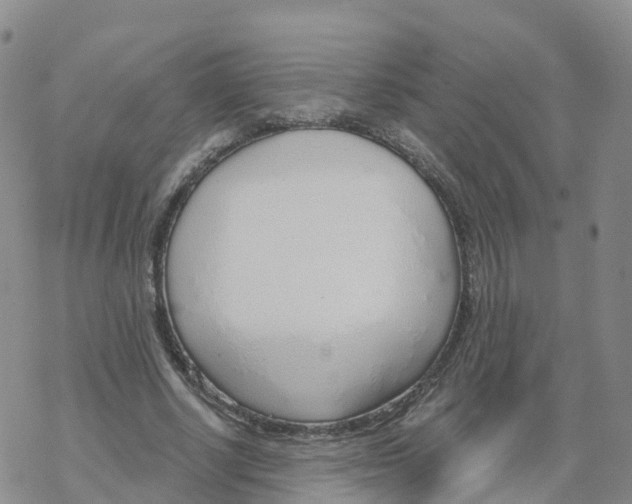 X0000068730634200605262026