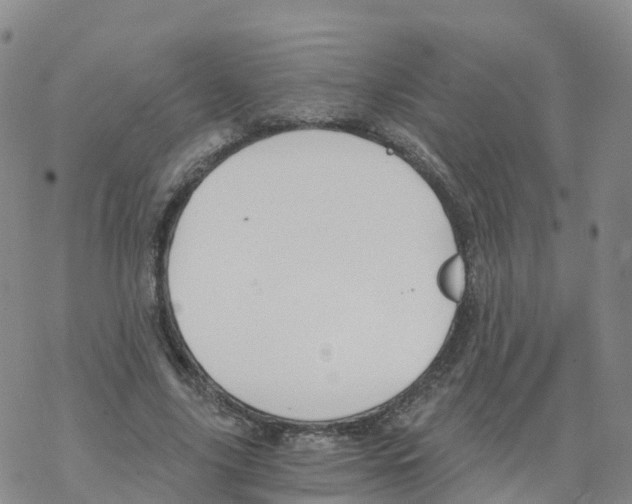 X0000068730635200605262026