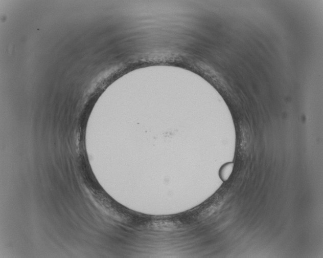 X0000068730636200605262027