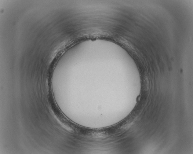 X0000068730638200605262027