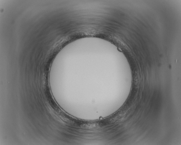 X0000068730639200605262027