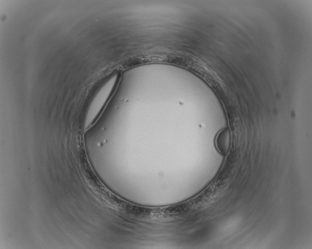 X0000068730641200605262027