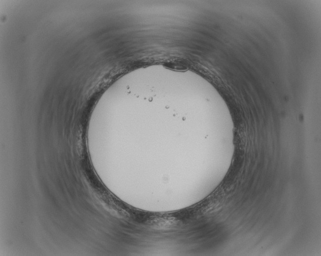 X0000068730642200605262027