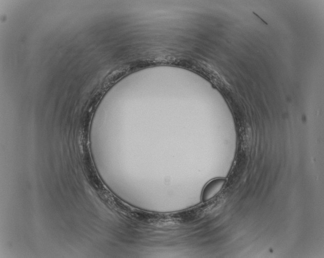 X0000068730643200605262027