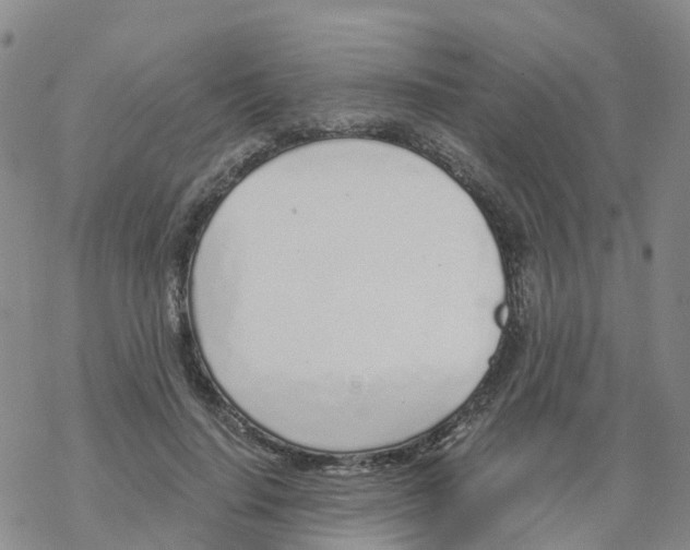 X0000068730644200605262027