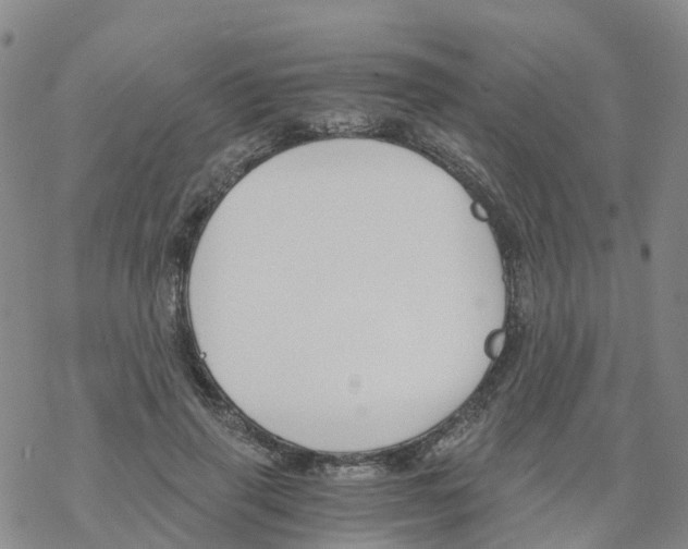 X0000068730645200605262027