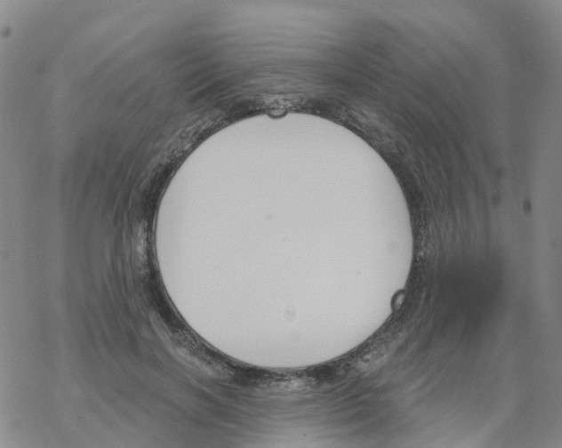 X0000068730646200605262027