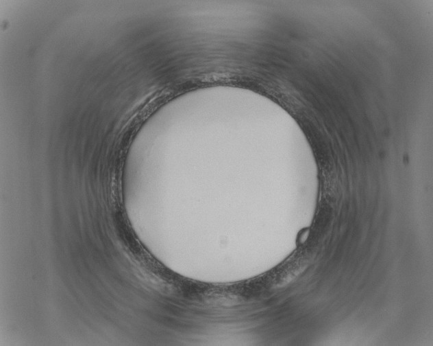 X0000068730648200605262027