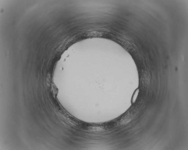 X0000068730649200605262027