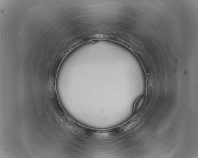 X0000068730651200605262027