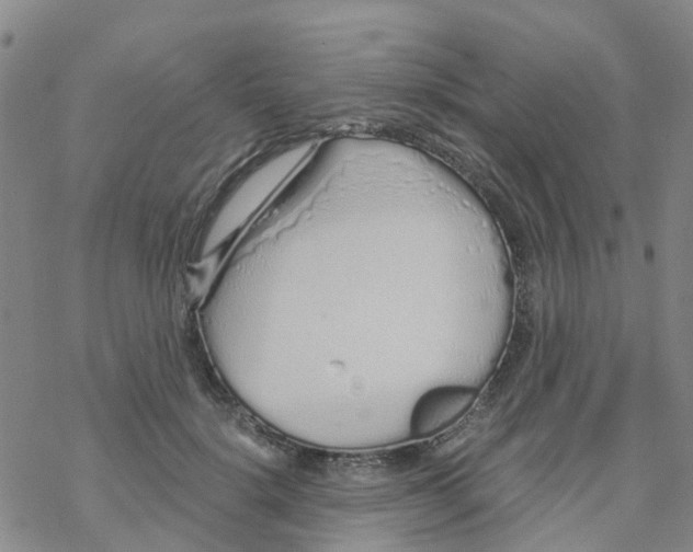 X0000068730652200605262027