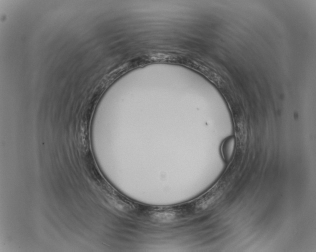 X0000068730653200605262027