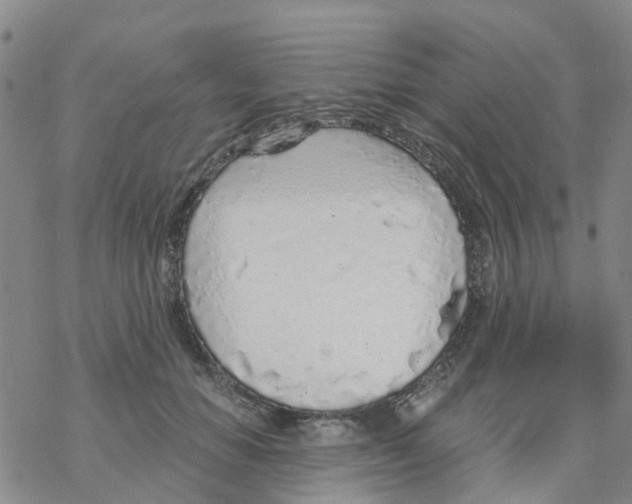 X0000068730654200605262027