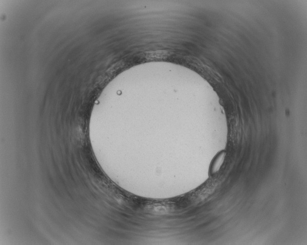 X0000068730655200605262027