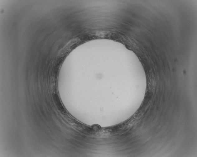 X0000068730656200605262027