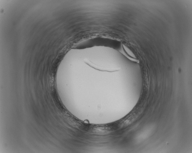 X0000068730657200605262027