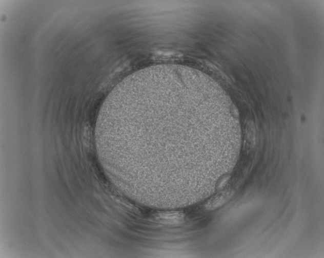 X0000068730659200605262027