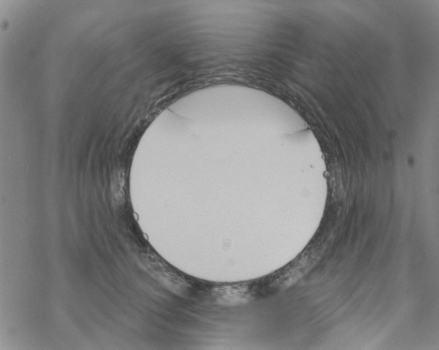 X0000068730660200605262027