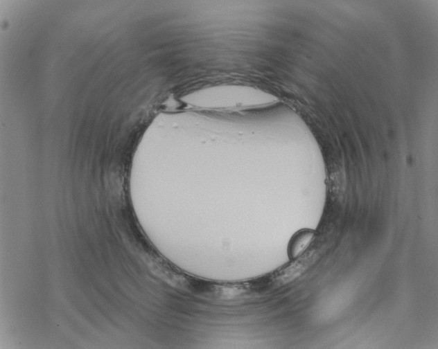 X0000068730662200605262027