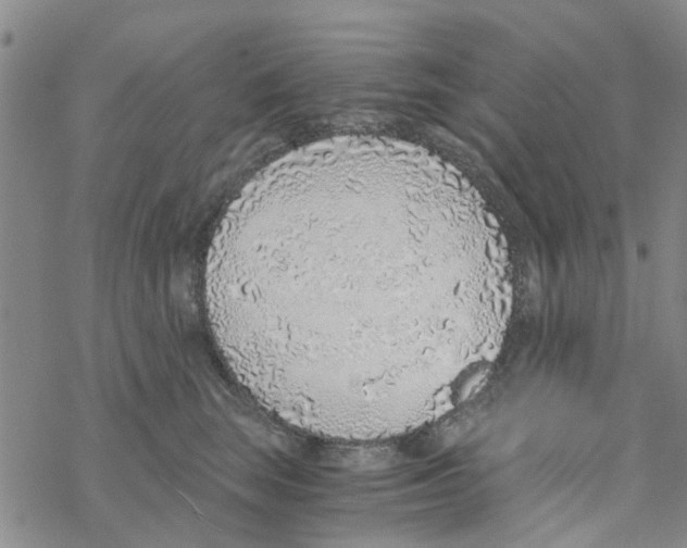 X0000068730663200605262027