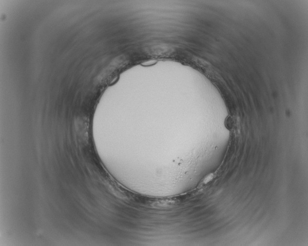 X0000068730664200605262027