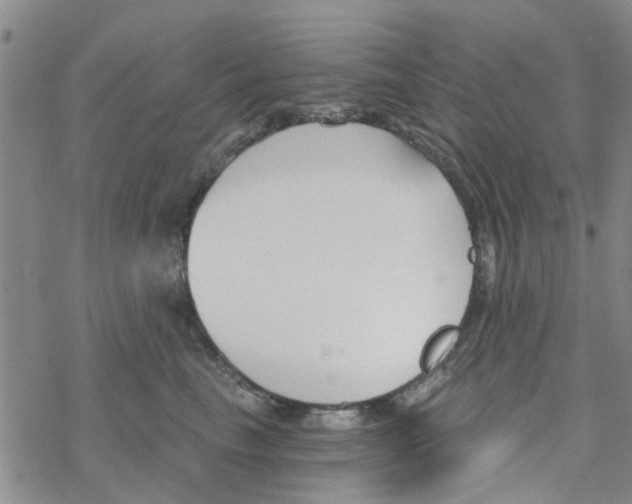 X0000068730665200605262027