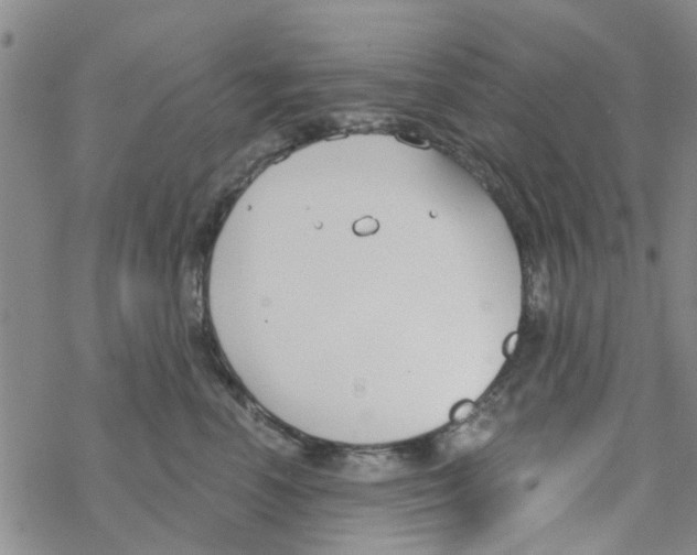 X0000068730666200605262027