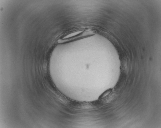 X0000068730668200605262027