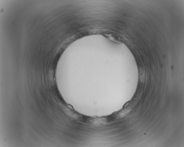 X0000068730670200605262027