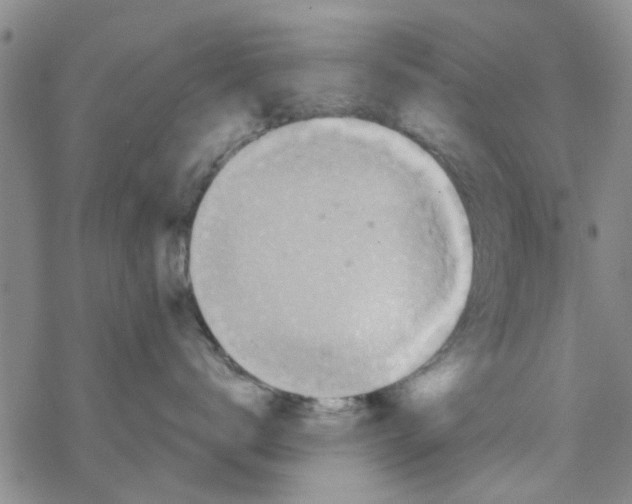 X0000068730672200605262027