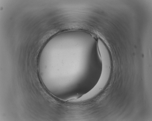 X0000068730673200605262026