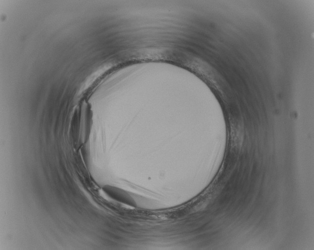 X0000068730674200605262026