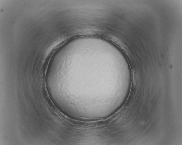 X0000068730675200605262026