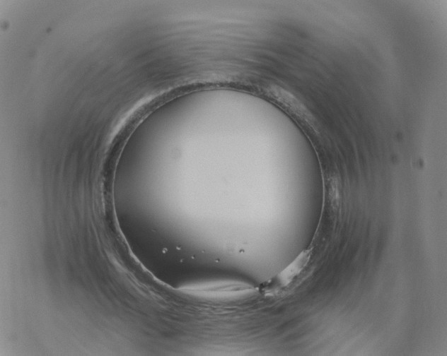 X0000068730676200605262026