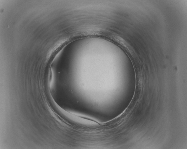 X0000068730677200605262026