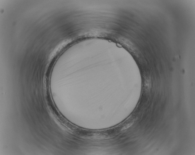 X0000068730678200605262026