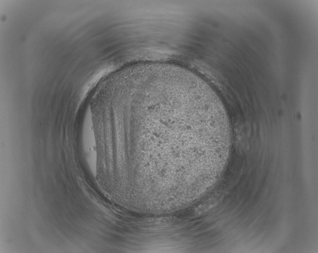 X0000068730679200605262026