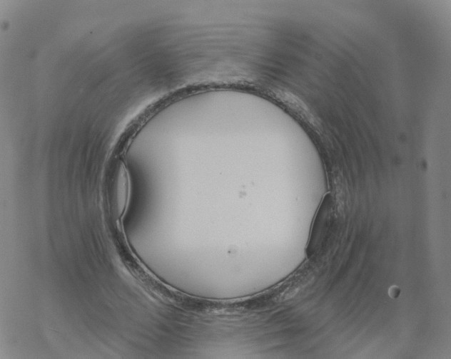 X0000068730680200605262026