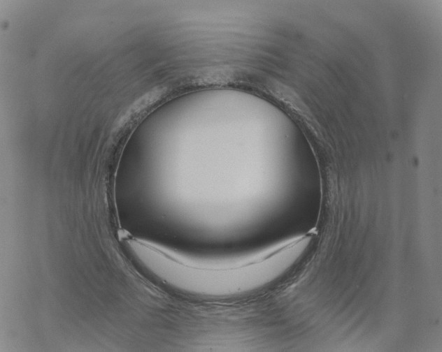 X0000068730681200605262026