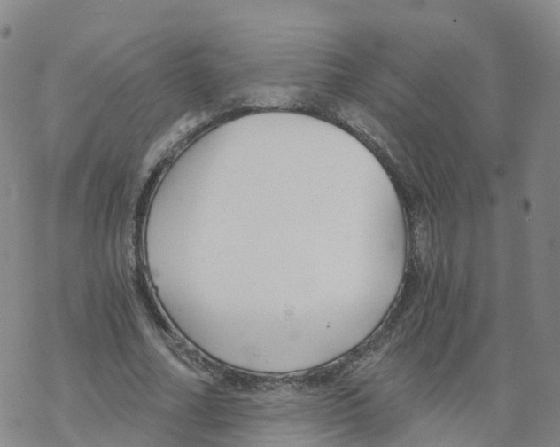 X0000068730682200605262026