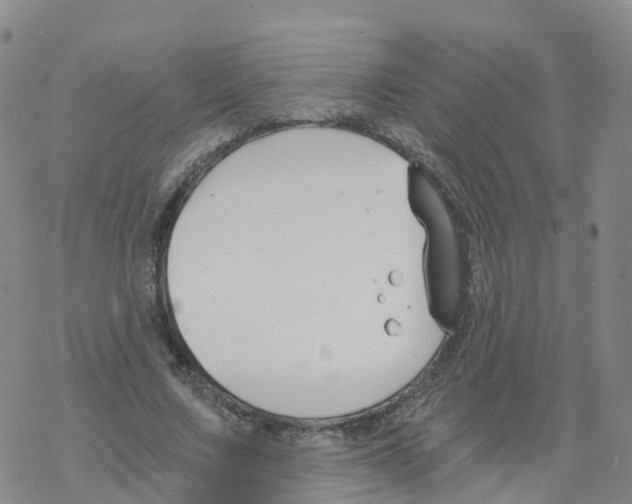 X0000068730683200605262026