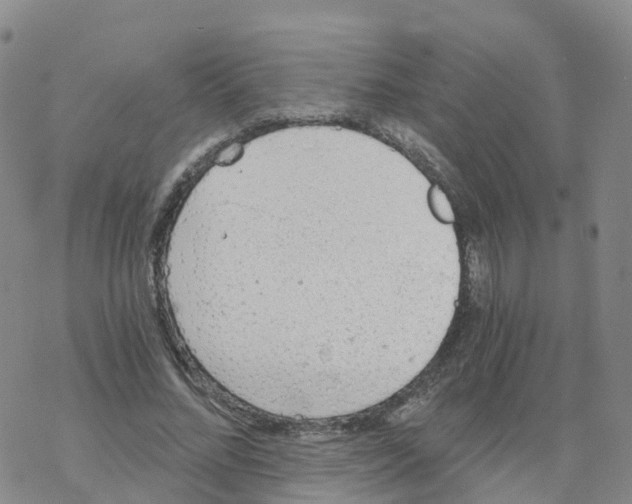 X0000068730684200605262026