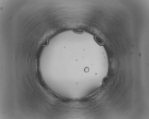 X0000068730685200605262026