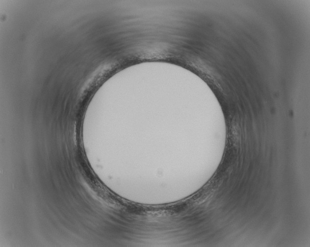 X0000068730686200605262026