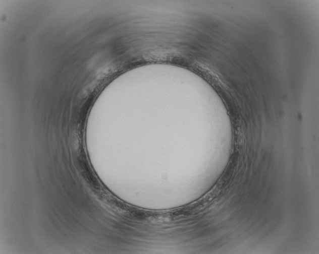 X0000068730687200605262026