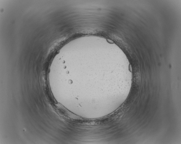 X0000068730688200605262026